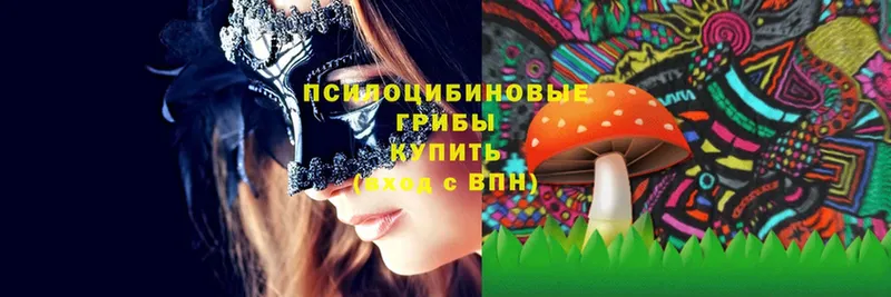 Псилоцибиновые грибы Magic Shrooms  маркетплейс формула  Краснотурьинск 