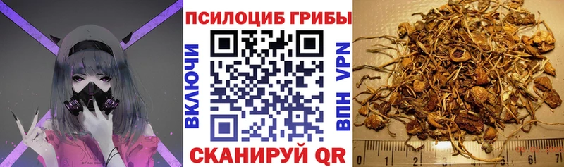 площадка Telegram  купить   блэк спрут ссылки  Краснотурьинск  Галлюциногенные грибы мухоморы 