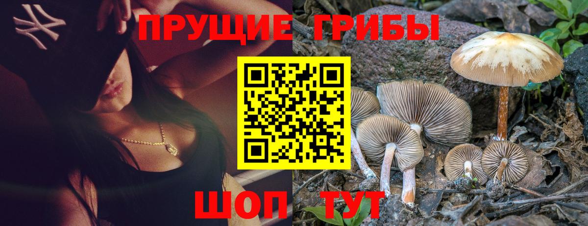 Псилоцибиновые грибы MAGIC MUSHROOMS  Вход с VPN  Краснотурьинск 